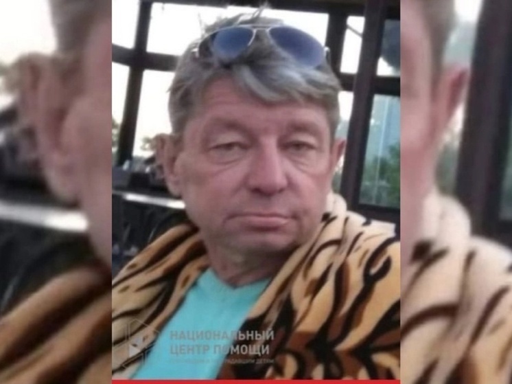 Пропавшего без вести пенсионера с травмой головы ищут в Ростовской области