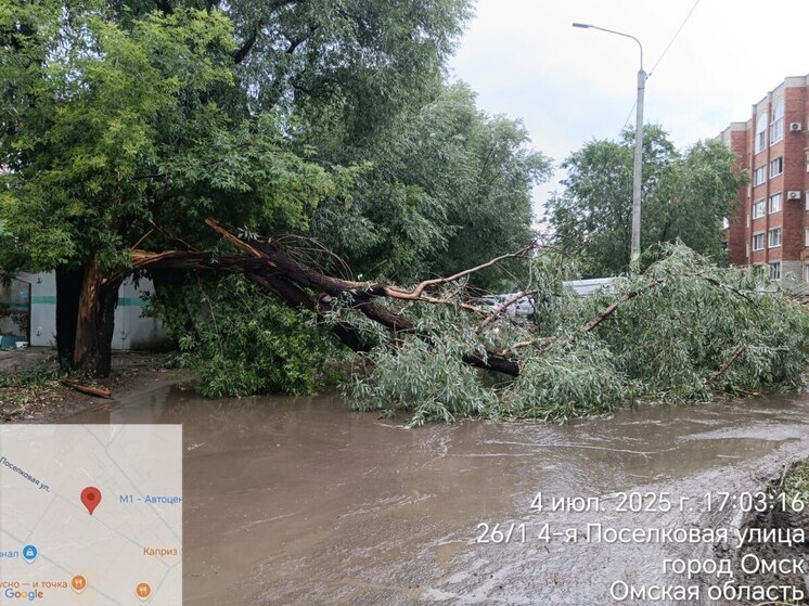 Поваленные деревья, обесточенные дома: в Омске устраняют последствия урагана