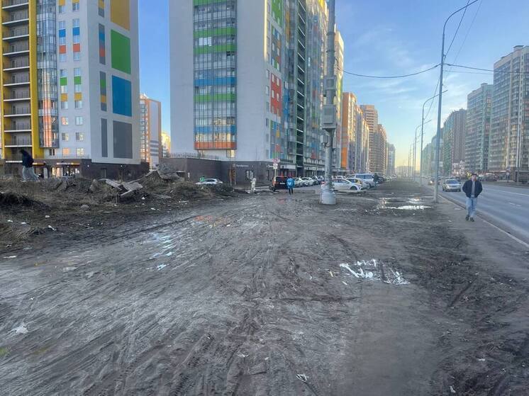 В апреле жители Мурино обратились в редакцию «МК в Ленобласти» и пожаловались на грязное месиво на пустыре вдоль улицы Шувалова. Они выразили недовольство, что там нет даже дорожки для пешеходов, при этом рядом остановка, почта и банк – «народная тропа» используется регулярно, но ходить там невозможно.