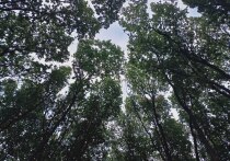 Какой сегодня день по народному календарю

5 июля в народе отмечают Евсеев день — дату, тесно связанную с домом, дорогой и любовью