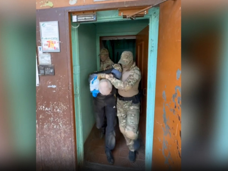 В Ярославле за террористические призывы задержан интернет-террорист