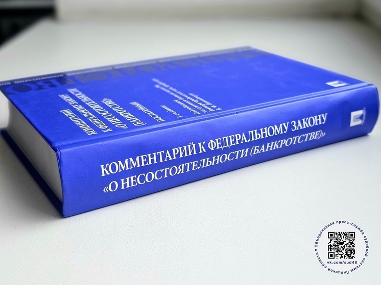 Липчанин с долгом более полумиллиарда рублей заявил о своем банкротстве