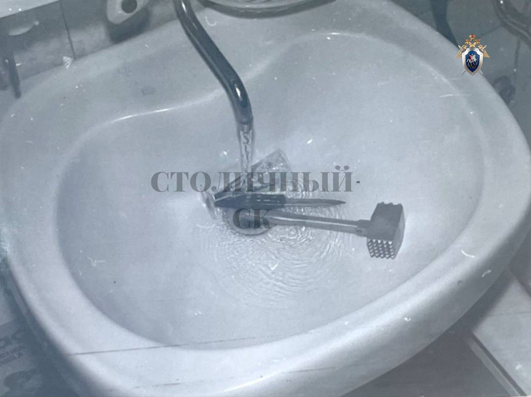 Случайную попутчицу в поезде, а впоследствии любовницу задушил уроженец Дагестана, задержанный на днях в Москве