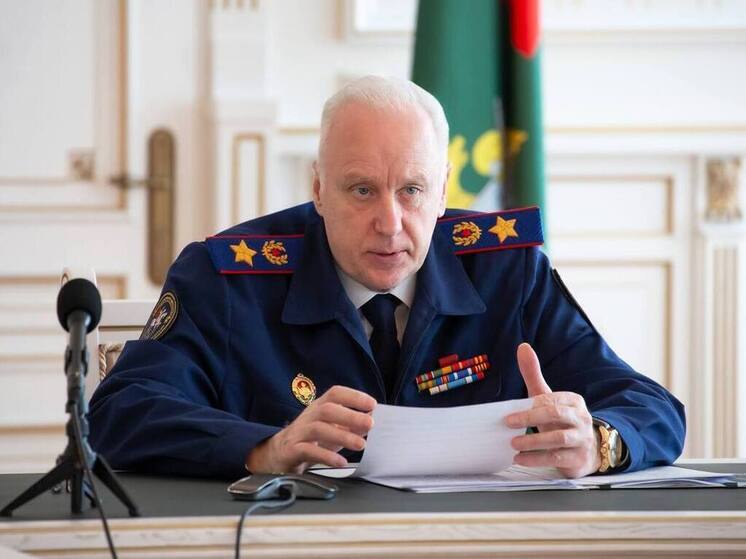 Инцидент с нападением на 12-летнюю девочку в Новосибирске на контроле у Главы СК