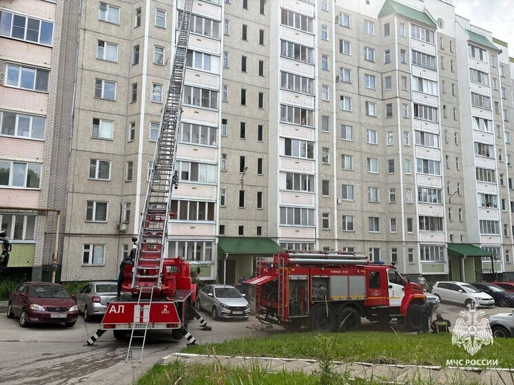 Орловские пожарные спасли кота из горящей квартиры на Раздольной