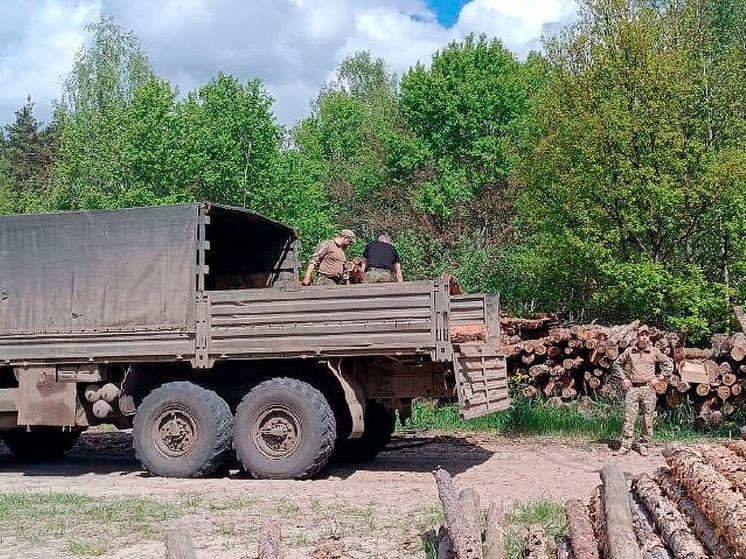 Тамбовские лесхозы поддерживают военных