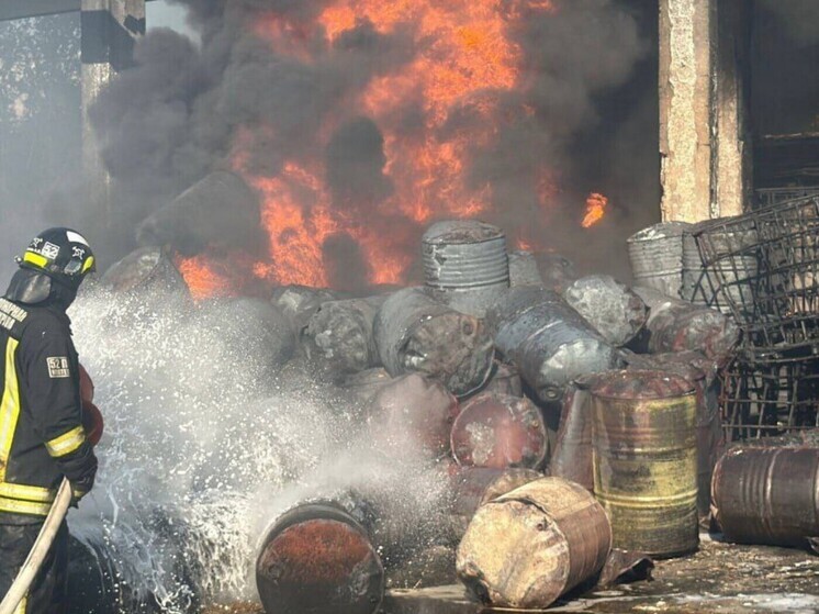 Гладков: беспилотник ВСУ нанёс удар по гражданскому предприятию в Шебекино