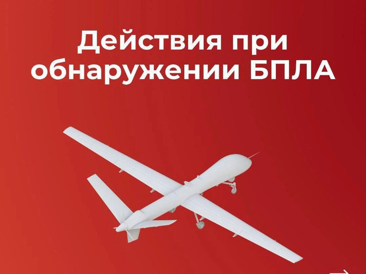В Смоленской области пресекли атаку украинского беспилотника