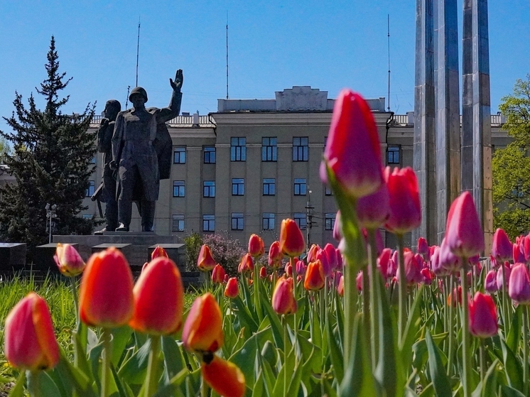 Тула стала 6-й в ТОПе российских городов по качеству жизни