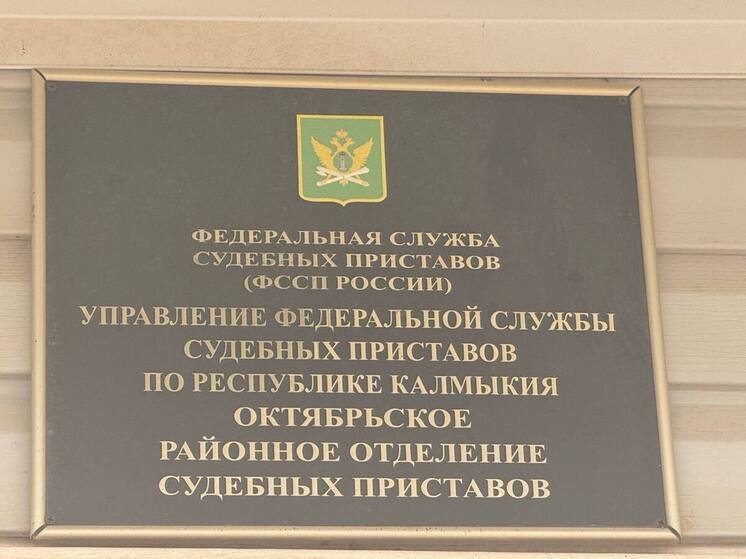 В Калмыкии предприниматель решил погасить долг, пока он не вырос