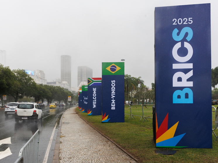 Bloomberg: страны БРИКС на саммите в Рио-де-Жанейро осудят односторонние пошлины