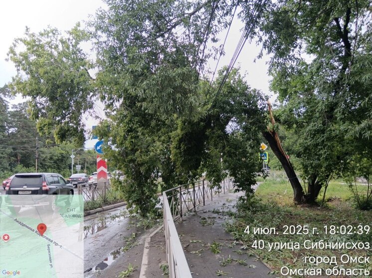 Ураган в Омске: пять пострадавших, сотни поваленных деревьев и массовые отключения электричества