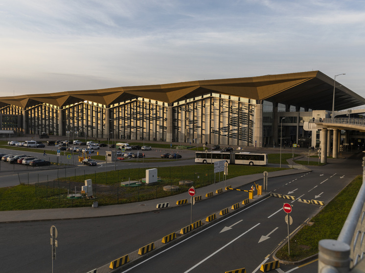 More than 50 flights delayed at St. Petersburg's Pulkovo airport due to restrictions