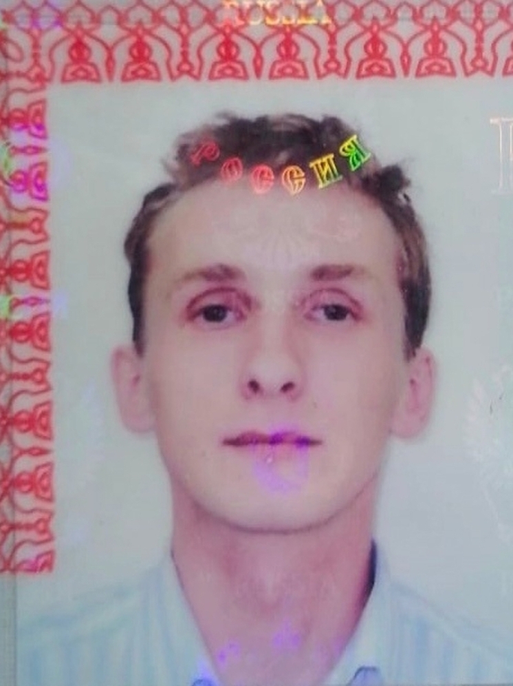 В Омске ищут мужчину, который ушёл в лес за ягодами три дня назад
