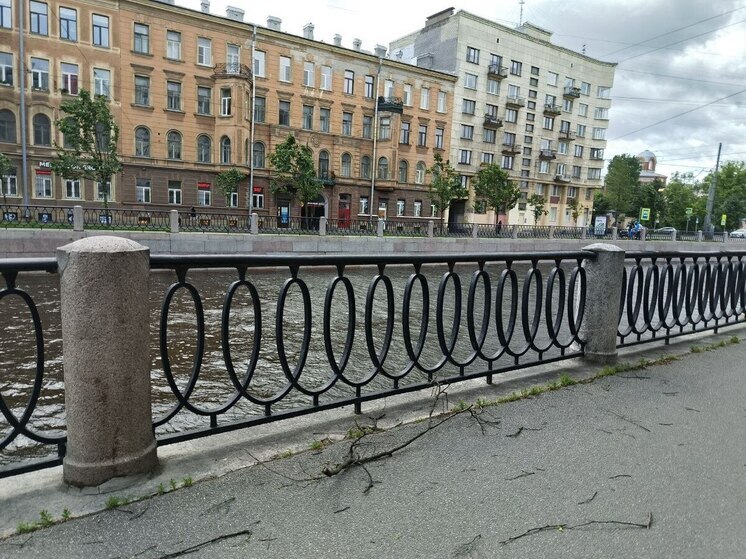 Более 300 деревьев повалились в Петербурге из-за штормового ветра