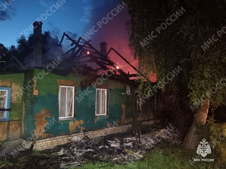 Под Брянском в пожаре пострадал 46-летний мужчина