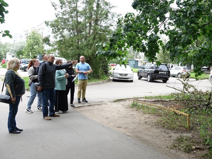Озеленение в Великом Новгороде под контролем депутатов