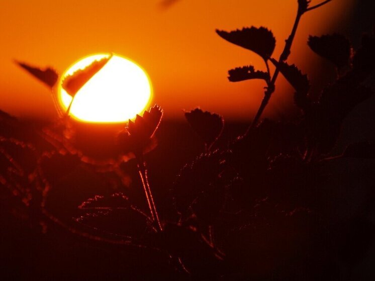 Summer heat sets in in Kuban