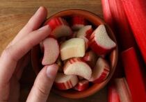 Специалисты Роспотребнадзора по Петербургу и Ленобласти рассказали ленинградцам о полезных свойствах и противопоказаниях ревеня. Многолетнего травянистого растения из семейства гречишных, которое нередко встречается в наших огородах.