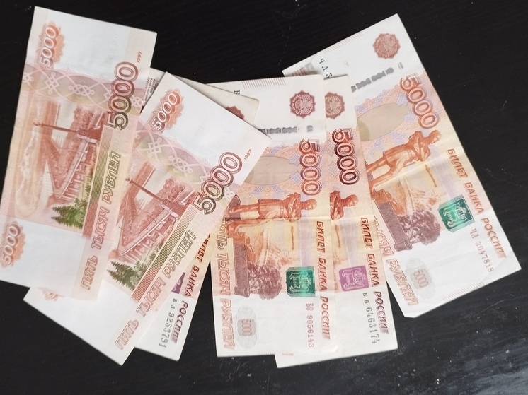 Калининградцы отказались от получения зарплаты в цифровых рублях
