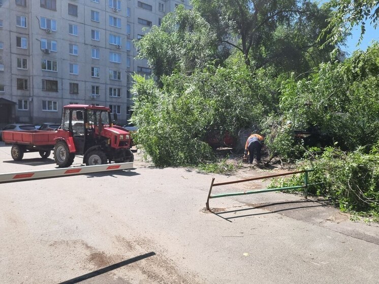 Коммунальные службы Тюмени устраняют последствия сильного ливня