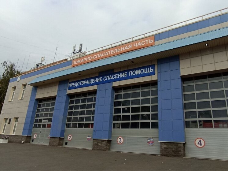 Калининградские спасатели вытащили собаку со дна колодца