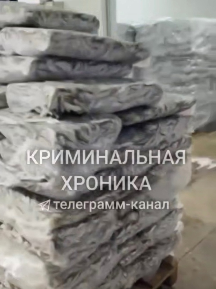 В Дагестане изъяли партию более 400 тонн рыбы на 55 млн рублей