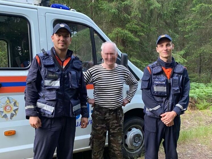 Заблудившихся грибников вывели из леса подмосковные спасатели