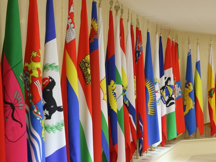 РБК: сенатором от Курской области может стать олимпийская чемпионка Ламонова