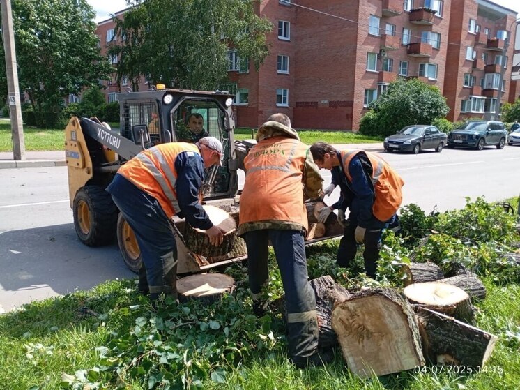Петербург устраняет последствия шторма, открыты все парки и восстановлен проезд