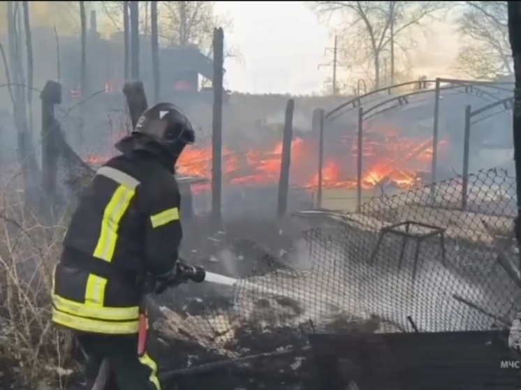 В деревне Куда горели теплицы