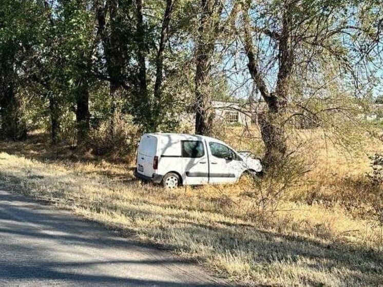 В Херсонской области автомобиль врезался в дерево: пострадала пассажирка