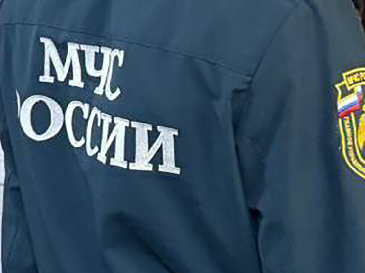 В Калининграде спасли застрявшего в болоте мужчину
