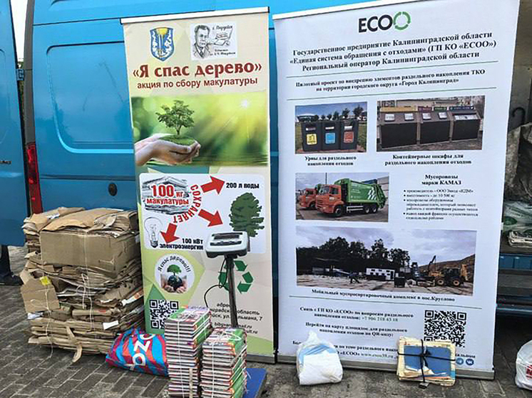 Калининградцы с января по май собрали 265 тонн мусора на переработку