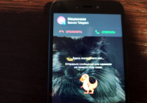 Мошенники прогрессируют и находят всё новые схемы для обмана ищущих работу