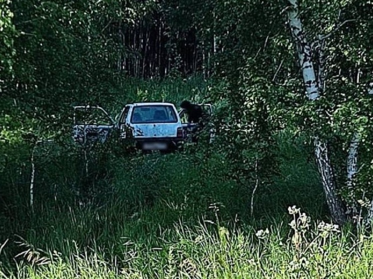 Южноуральцы угнали «Оку» у знакомого и бросили её в лесу