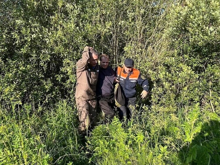 Спасатели вывели из леса двух человек в Чудово