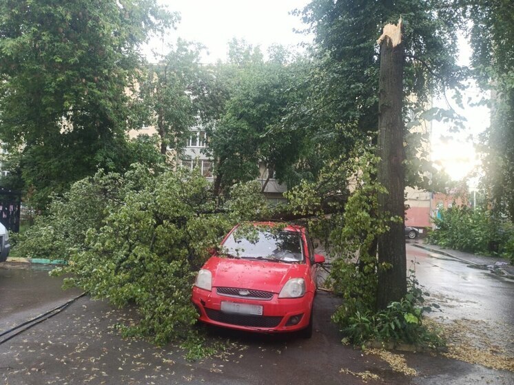 В Уфе за день выпала половина месячных осадков июля