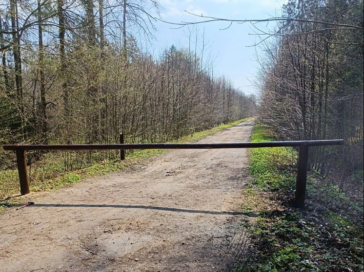 В калининградских лесах появились шлагбаумы