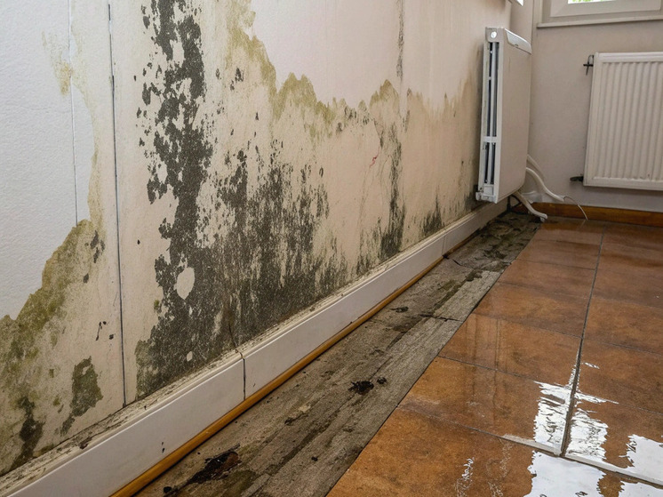 Узнайте, как самостоятельно найти скрытую утечку воды в стене или под полом. Подробные методы диагностики, советы по профилактике и рекомендации по выбору материалов.
