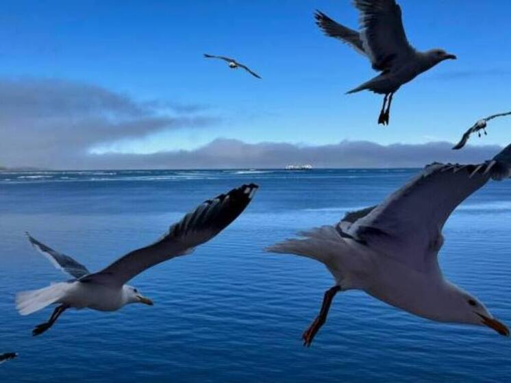 Ветер до 23 м/с ожидается в Певеке в воскресенье