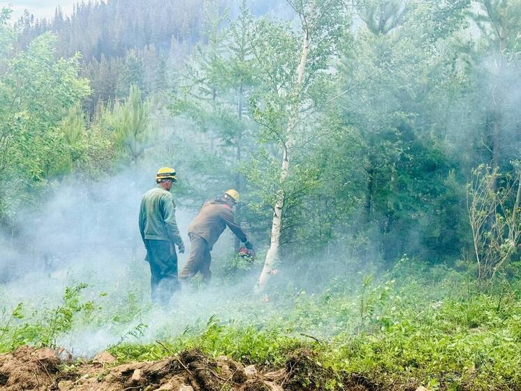 В Бурятии за сутки ликвидировали один крупный лесной пожар