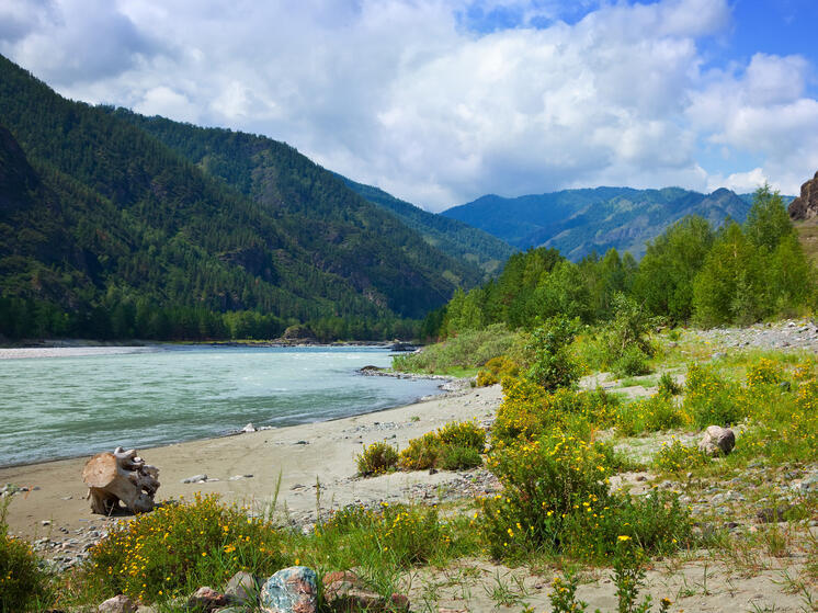 Для томской семьи поездка в Абхазию обернулась заражением ротавирусом