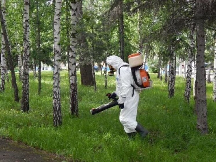 В Костроме начался второй этап акарицидной обработки территорий