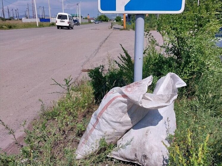 Жители Усть-Абакана предложили переложить уборку улиц на подростков