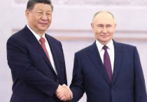 Лидеры России и Китая не поехали на саммит БРИКС, который начинается в Бразилии с воскресенья, что западные аналитики поспешили объявить чуть ли не признаком того, что недавнее расширение группы снизило ее идеологическую ценность для двух стран-основателей
