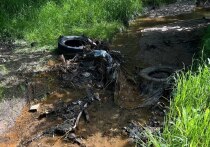 В Центральном районе Читы завершилась уборка русла реки Кайдаловка