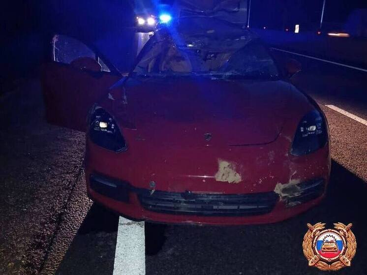 На М-9 в Тверской области водитель Porsche сбил лося