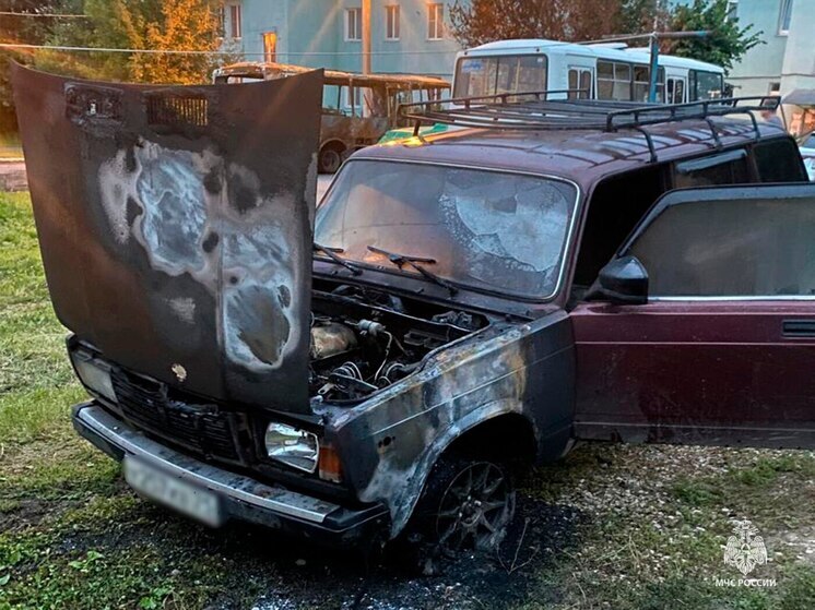 В Обидимо Большой Тулы огнеборцы потушили ВАЗ-2104