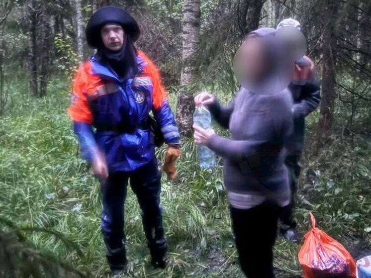 Двоих заблудившихся в лесу Волосовского района спасли ночью
